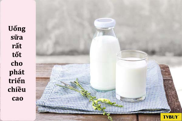 sữa thức uống giúp tăng chiều cao 