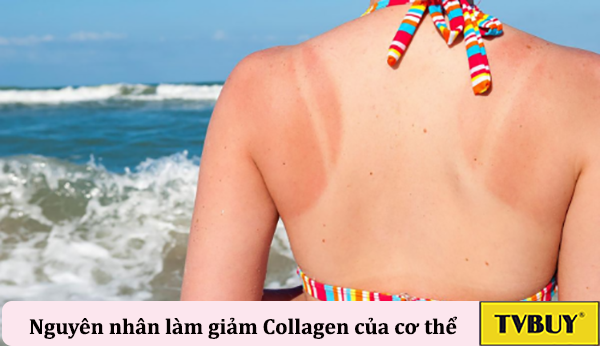 nguyên nhân giảm collagen