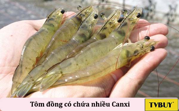 tôm đồng