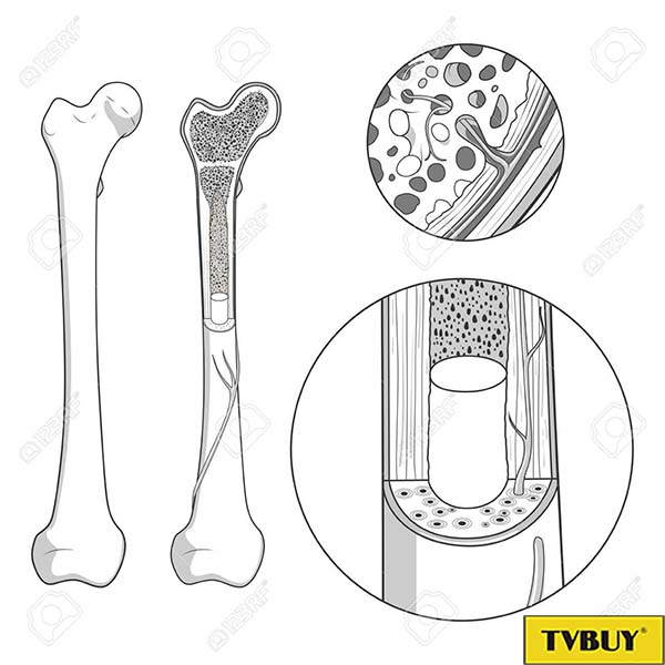 tấm tăng trưởng đóng lại