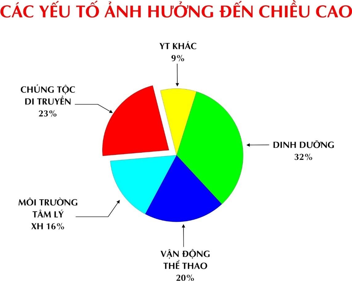 các yếu tố phát triển chiều cao