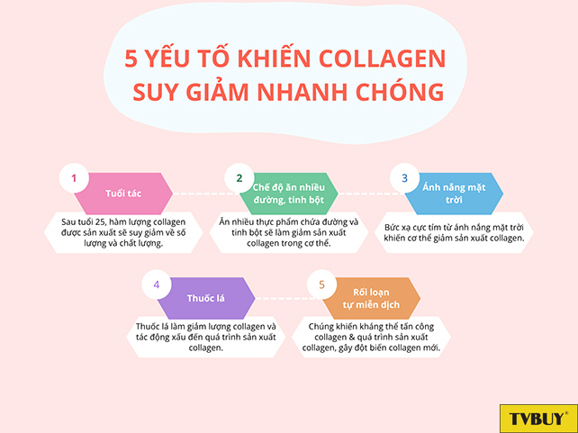 Hút thuốc là một trong những yếu tố khiến collagen suy giảm nhanh chóng