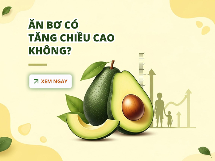 Ăn bơ hỗ trợ bổ sung dinh dưỡng tốt cho chiều cao.