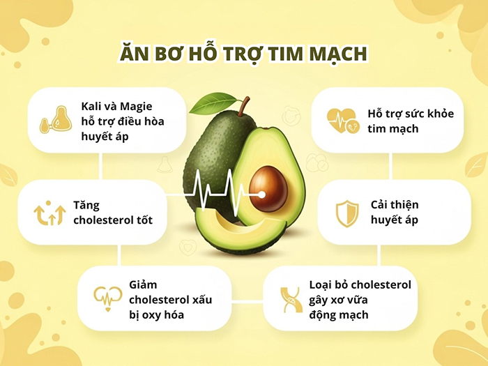 Chất béo lành mạnh trong bơ hỗ trợ sức khỏe tim mạch