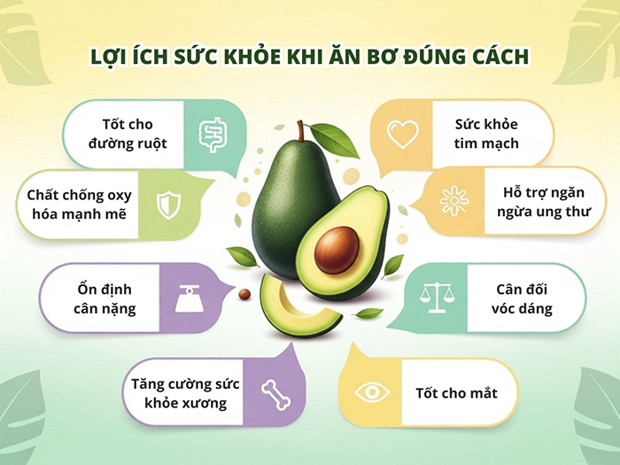 Tổng hợp những lợi ích sức khỏe khi ăn bơ đúng cách.