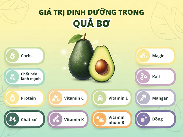 Giá trị dinh dưỡng trong quả bơ
