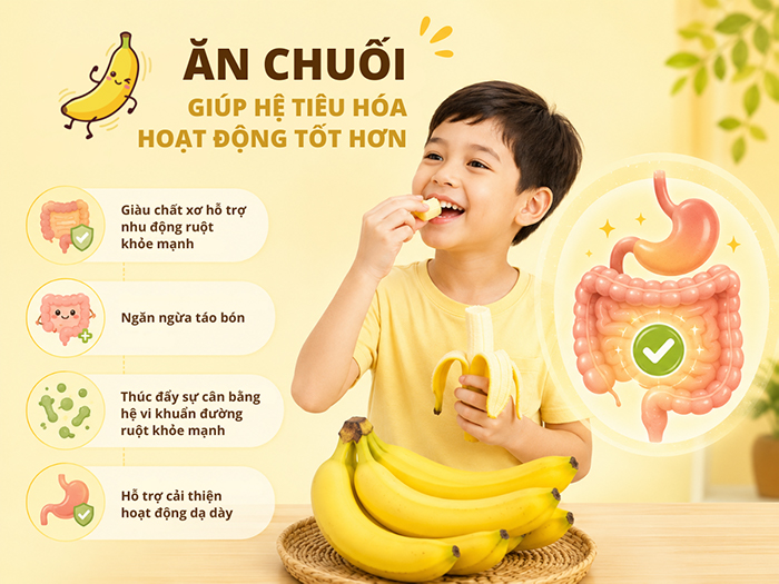 Ăn chuối giúp hệ tiêu hóa hoạt động tốt hơn.