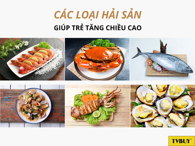 Các loại hải sản có lợi cho quá trình phát triển chiều cao