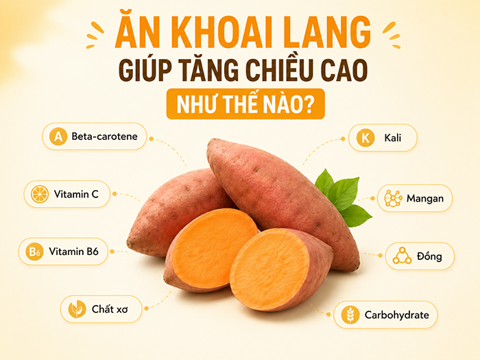 Khoai lang chứa nhiều chất dinh dưỡng tốt cho chiều cao.