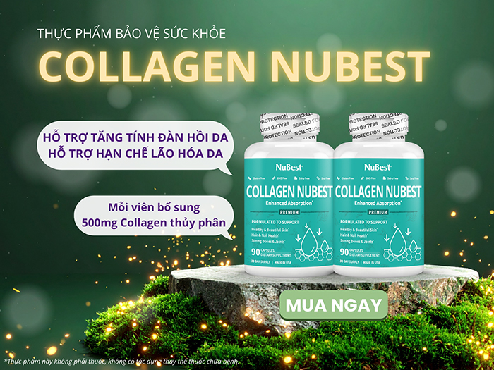 TPBVSK Collagen NuBest hỗ trợ bổ sung Collagen cho người trưởng thành