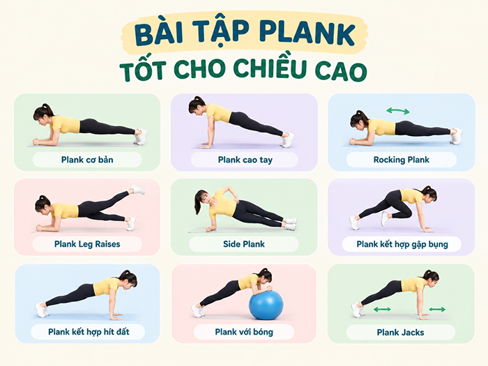 Tổng hợp các bài tập Plank tốt cho chiều cao.