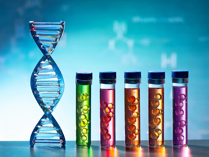 Gen chỉ quyết định 23% tốc độ tăng chiều cao ở mỗi cá thể