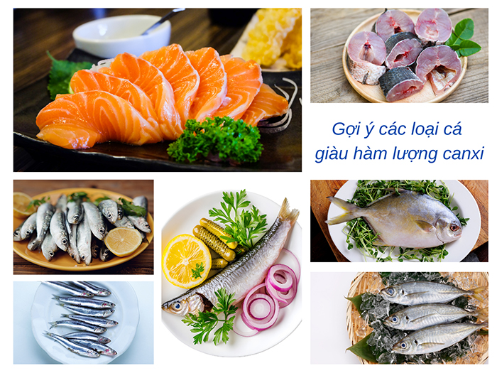 Gợi ý bạn những loại cá chứa hàm lượng Canxi cao&nbsp;