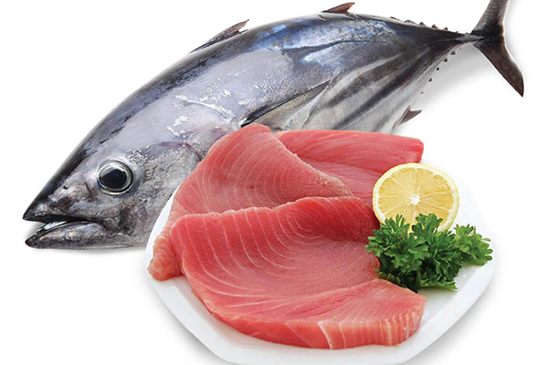 Cá ngừ giàu vitamin D nhưng cũng có chứa thủy ngân