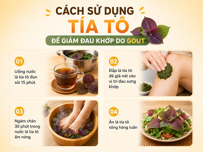 Cách sử dụng tía tô để giảm đau khớp do Gout.