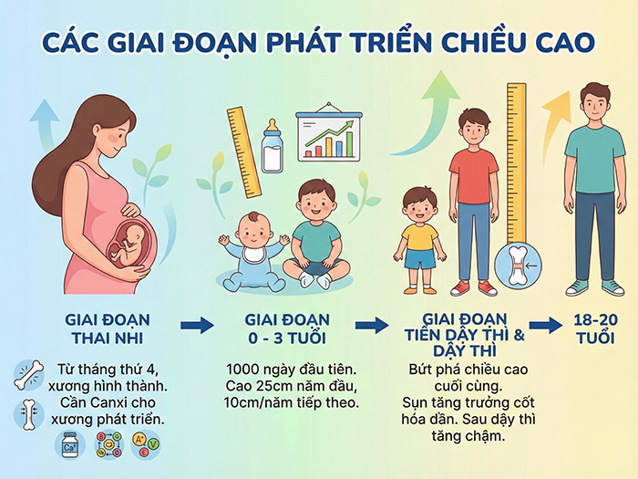 Những giai đoạn phát triển chiều cao mạnh mẽ của trẻ