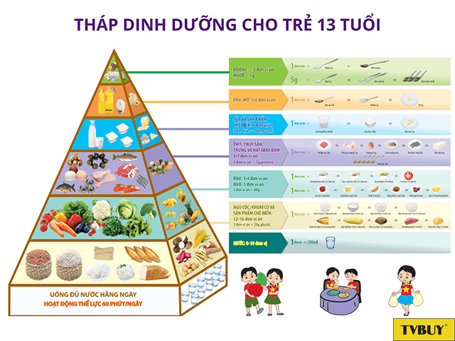 Tháp cân đối dinh dưỡng phù hợp cho chế độ ăn uống tăng chiều cao ở tuổi 13