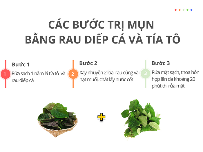 Các bước trị mụn bằng rau diếp cá và tía tô