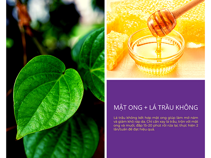 Mật ong kết hợp lá trầu không trị nám da hiệu quả