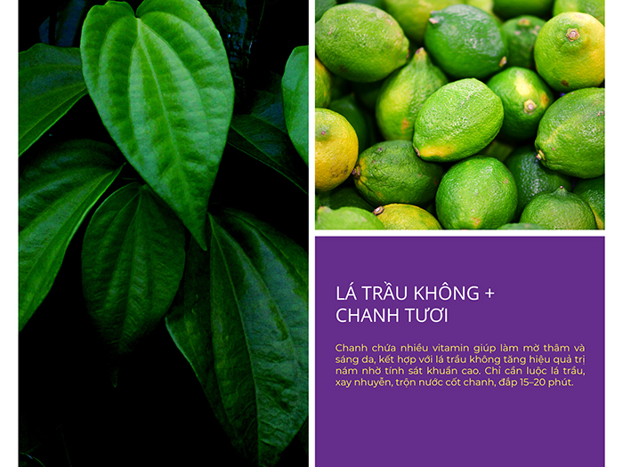 Chanh tươi + lá trầu không bổ sung dưỡng chất và làm mờ nám da