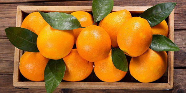 cam-quyt-giau-vitamin-c-se-kich-thich-san-sinh-ra-nhieu-collagen