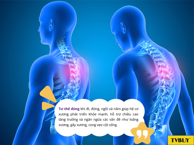 Luôn giữ thẳng lưng để giữ sức khỏe cột sống và cấu trúc xương toàn cơ thể