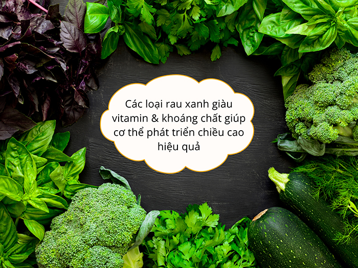 Những loại rau chứa nhiều dưỡng chất tốt cho xương