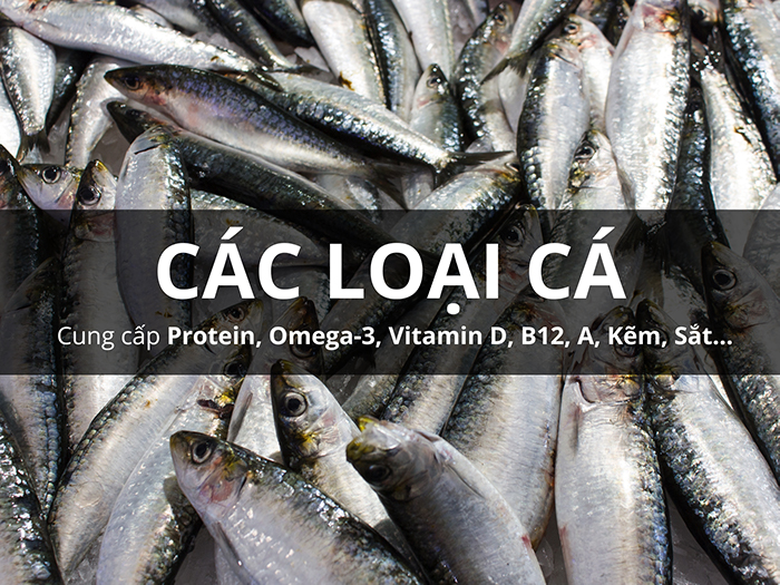Giá trị dinh dưỡng tuyệt vời trong các loại cá