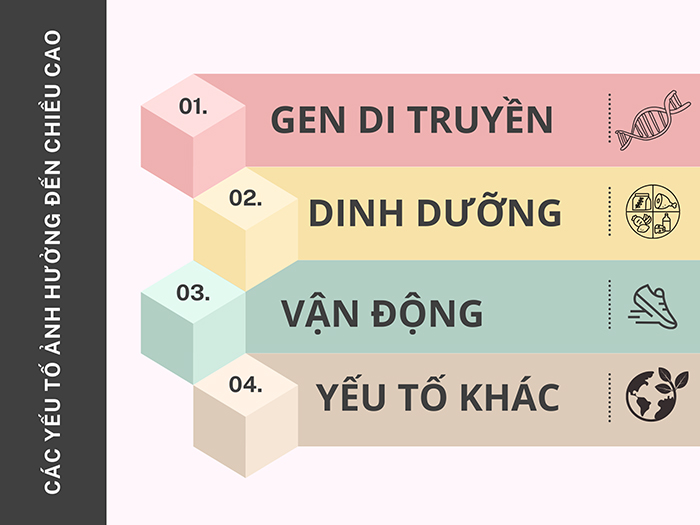 ​​​​​​​Những yếu tố chính ảnh hưởng đến sự phát triển chiều cao