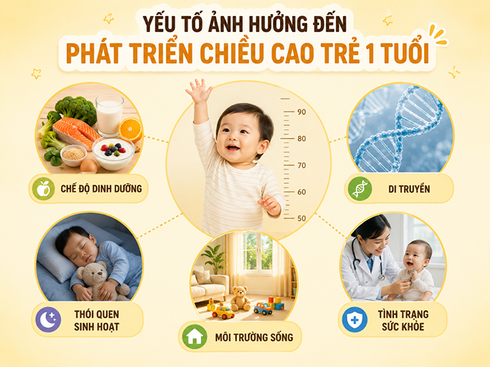 Yếu tố ảnh hưởng đến phát triển chiều cao trẻ 1 tuổi.
