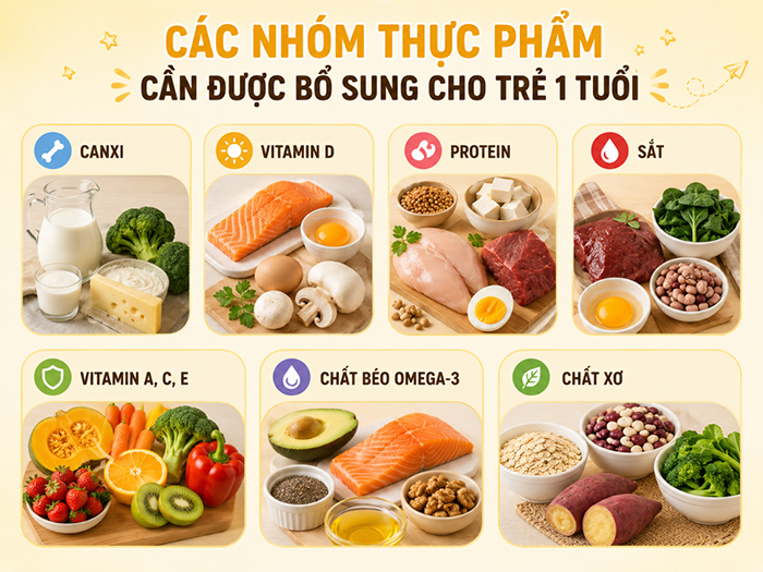 Các nhóm chất cần được bổ sung cho trẻ 1 tuổi.