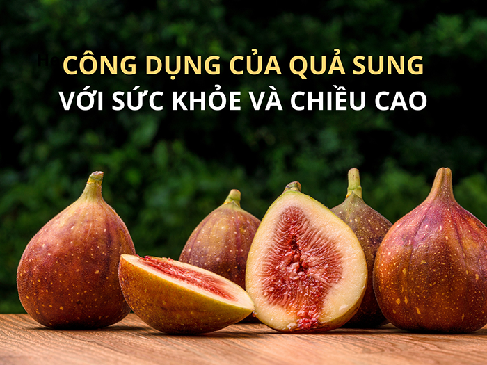 Quả sung có nhiều tác động tích cực đến sức khỏe và chiều cao