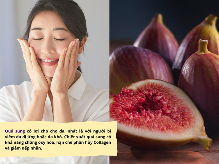 Chiết xuất từ quả sung có tác dụng hỗ trợ làm đẹp da