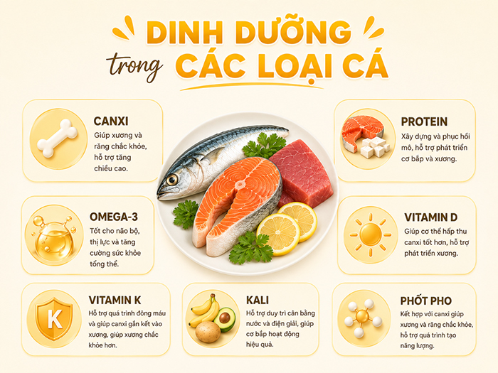Dinh dưỡng trong cá giúp trẻ phát triển khỏe mạnh, cao lớn.
