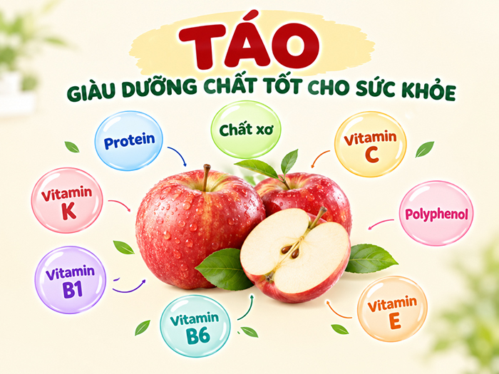 Dinh dưỡng có trong táo.