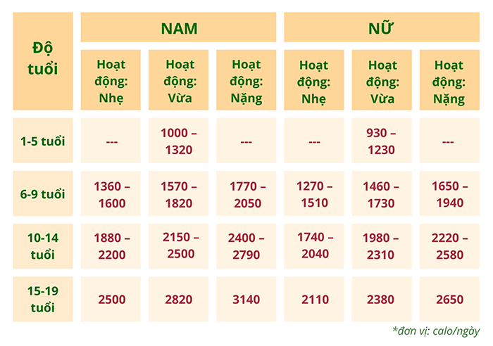 Lượng calo bình thường cần nạp trong ngày cho từng độ tuổi