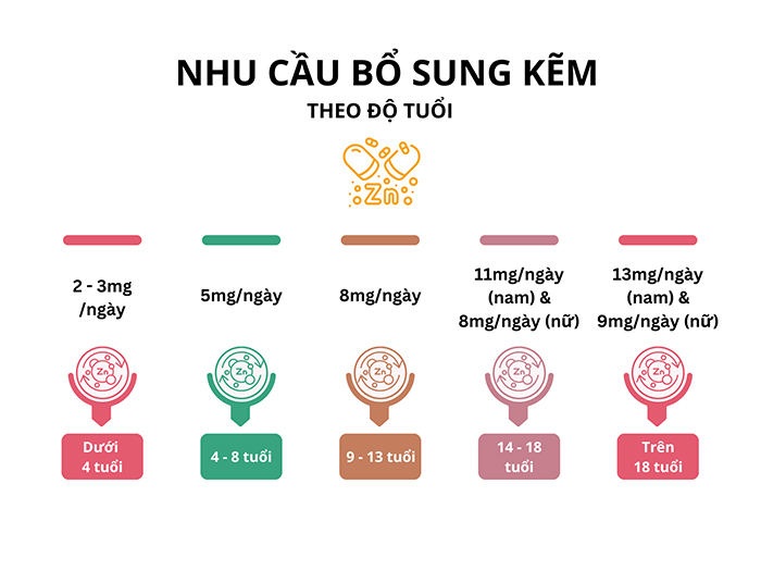 Nhu cầu bổ sung Kẽm ở từng độ tuổi