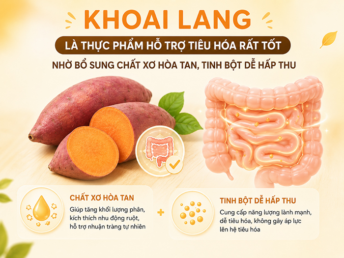 Khoai lang là thực phẩm hỗ trợ tiêu hóa rất tốt.