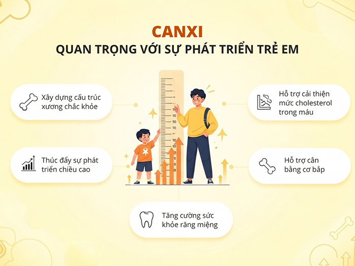 Canxi quan trọng trong quá trình phát triển chiều cao.
