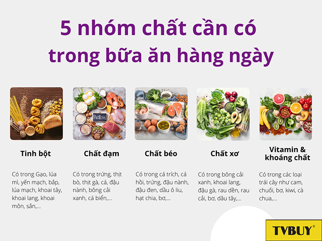 Các nhóm dưỡng chất cần bổ sung để nạp đủ vi chất cho cơ thể
