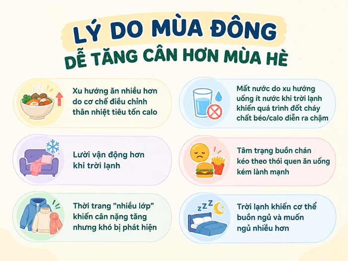 Các nguyên nhân giải thích vì sao mùa đông dễ tăng cân hơn mùa hè.