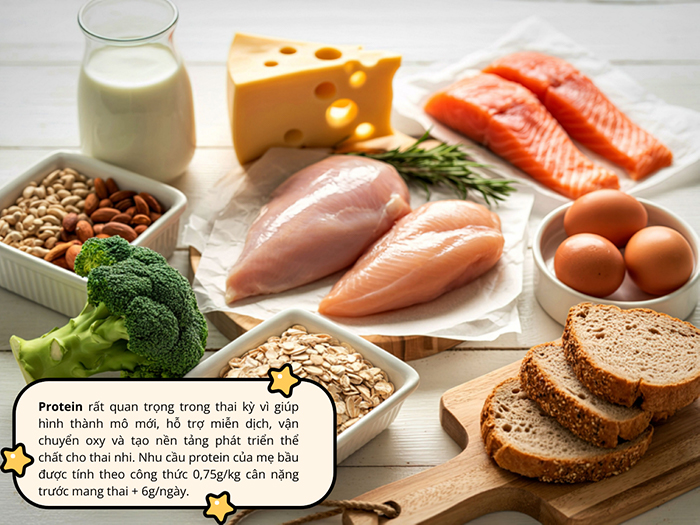 Protein là dưỡng chất quan trọng, cần có trong thực đơn hàng ngày của mẹ bầu