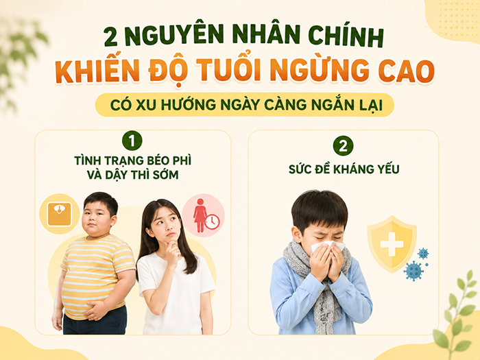 Nguyên nhân chính khiến độ tuổi ngừng cao ngày càng ngắn lại.