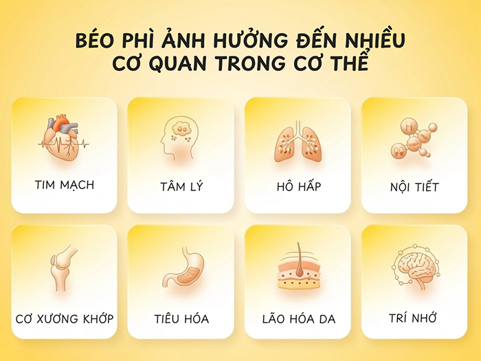Béo phì ảnh hưởng đến nhiều khía cạnh của cơ thể.