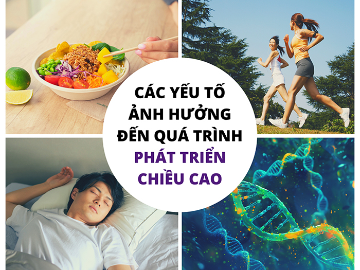 ​​​​​​​Danh sách các yếu tố chính ảnh hưởng đến quá trình tăng chiều cao