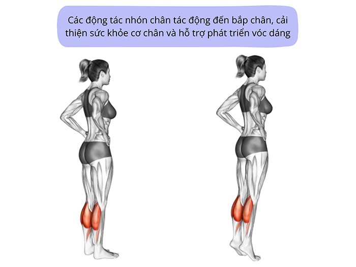 ​​​​​​​Tập luyện động tác nhón chân phù hợp giúp phát triển xương và cơ tối ưu