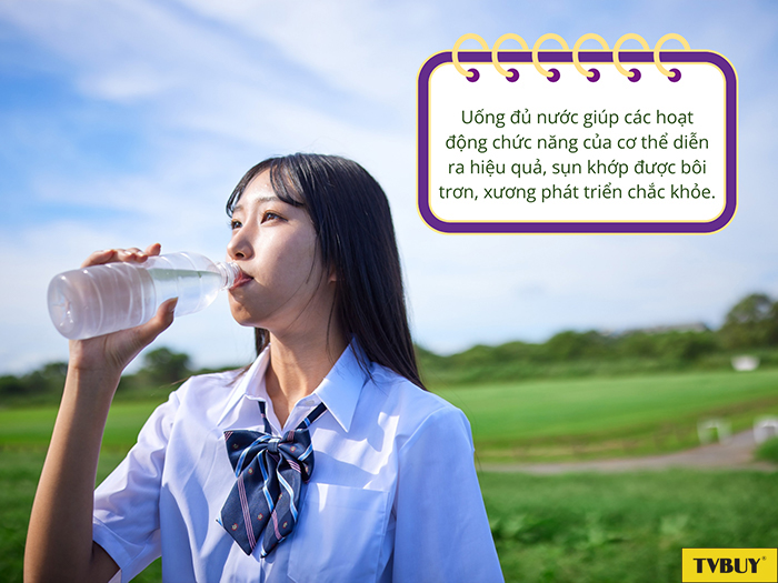 Nước đóng vai trò quan trọng với các hoạt động chức năng của cơ thể