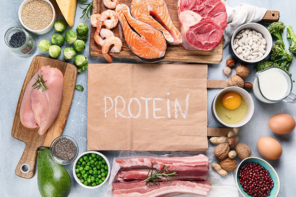 protein-la-nhom-chat-quan-trong-can-thiet-cho-qua-trinh-tang-truong