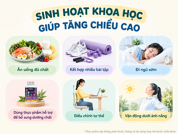 Sinh hoạt khoa học giúp tăng chiều cao hiệu quả.