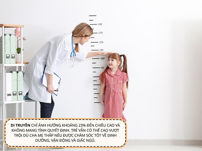 Di truyền là yếu tố khó tác động nhưng có ảnh hưởng không lớn với chiều cao và xương